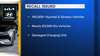 More than 208K EVs recalled over problem that can cause loss of power [upl. by Ardnnaed]