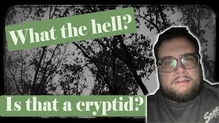 Cryptid Video Review Ep5 [upl. by Hobey427]