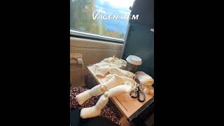 Virkade dockan Amigurumi doll Ball jointed doll [upl. by Yuu]