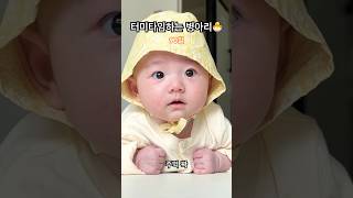 삐약삐약💛살이 많이 붙은 병아리🐣ㅋㅋ 귀여운아기 90일 이른둥이 baby 터미타임 [upl. by Ettebab]