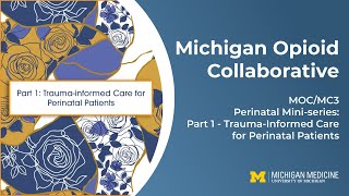 MOCMC3 2023 Perinatal Mini Series Part 1  TraumaInformed Care for Perinatal Patients [upl. by Kussell584]