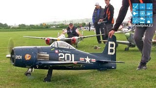 F8F BEARCAT SPITFIRE amp P38 LIGHTNING RC WARBIRDS ACTION FLIGHT MULTIPLEX AIRSHOW 2015 [upl. by Columbus]