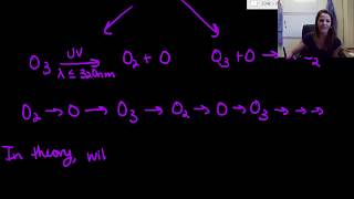 Chapman Cycle [upl. by Levinson]