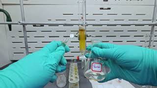 Isolating pnitrothymol via Column Chromatography [upl. by Levey]