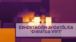 EXHORTACIÓN APOSTÓLICA quotCHRISTUS VIVITquot  CRISTO VIVE PAPA FRANCISCO CAPÍTULO 7 [upl. by Anavahs]