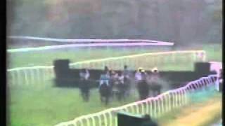 Horse Racing 1985 Newcastle Chase Bush Guide Peaty Sandy [upl. by Oad]