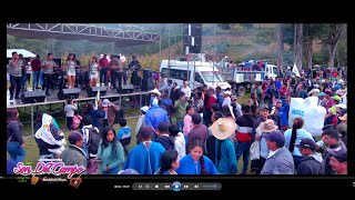 LORITO DE PLUMA VERDE  Son del campo  En Vivo  Juzgara Huancabamba  Crismi Producciones [upl. by Neva178]