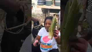 How to prep Dasheen Cuttings youtubeshorts short farming food home viral kitchen diy asmr [upl. by Lynn819]