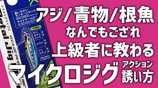 上級者に教わるマイクロジグのアクション＆シャクリ方の基本（メタルジグは竿の強さにあった重さを使うべし！） [upl. by Dedra]