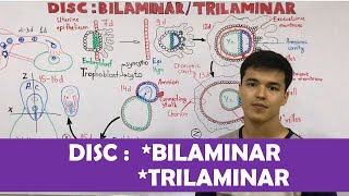 Embryology  DISC Bilaminar  Trilaminar [upl. by Henning375]