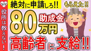 【絶対に申請しろ‼】政府から高齢者へ80万円支給！申請したらもらえる制度！【敬老パス年金生活者支援給付金補聴器購入補助制度】 [upl. by Mur549]