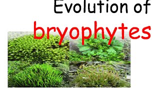 Plant evolution  bryophytes evolution [upl. by Galang]