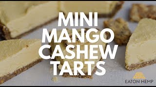 Mini Mango Cashew Tart Vegan  GlutenFree Healthy Dessert Recipe [upl. by Llerihs]