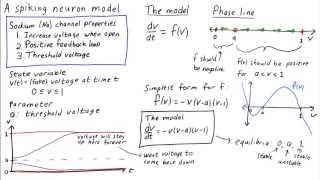 A simple spiking neuron model sodium channels alone [upl. by Groveman]