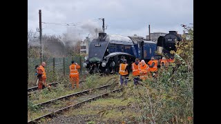 Deltic and Sir Nigel Gresley in York Today 23 11 23 [upl. by Agate903]