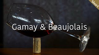 가메 amp 보졸레 Gamay amp Beaujolais  와인 품종 amp 생산 지역 이야기  와인 기초  와인공부 [upl. by Grannias]