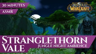 Stranglethorn Vale  Jungle Night Ambience 30 minutes ASMR 4K World of Warcraft Vanilla [upl. by Corley663]