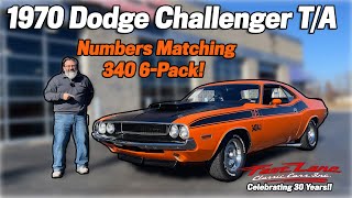 1970 Dodge Challenger TA 340 6Pack For Sale at Fast Lane Classic Cars [upl. by Notla]