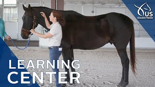 Learning Center Preview Basic Horse Anatomy with Dr Liz Barrett [upl. by Eehtomit481]