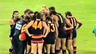 1991 AFL  ROUND 1  ADELAIDE CROWS V HAWTHORN [upl. by Leacock908]