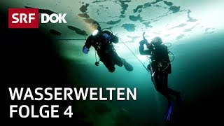 Tauchen in Indonesien auf den Seychellen in Grönland amp der Schweiz  Wasserwelten 44  SRF Dok [upl. by Ardra953]