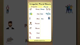 Irregular Plural Pronouns english singularplural shorts [upl. by Wattenberg35]