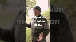 🌿 Wildplukken met Johan  Deel 3🌿 [upl. by Arodal707]