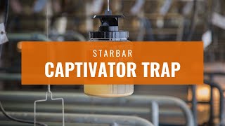 Starbar Captivator Fly Trap [upl. by Oman44]