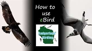 How to use eBird A Beginners Guide [upl. by Fawnia]