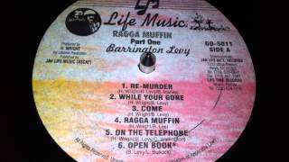 Barrington Levy  While Your Gone [upl. by Ellerehc]