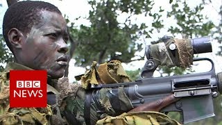 Zimbabwes womens antipoaching group protecting elephants  BBC News [upl. by Anaiv]