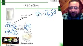 Études des aliments 55 et 56 Produits laitiers caséines lactosérum et légumineuses [upl. by Blalock]