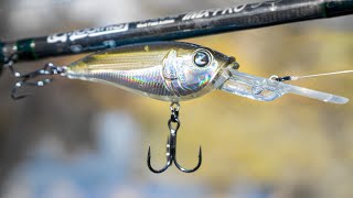 TacticalBassins New Cold Water Crankbait Catch Your Biggest Bass This Winter [upl. by Cleve]