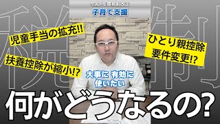 【税制改正】令和6年度子育て支援高校生の児童手当、扶養控除、ひとり親控除 [upl. by Codee604]