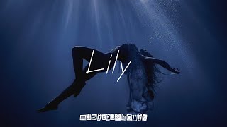 Alan Walker K391 amp Emelie Hollow  Lily Lyrics [upl. by Oiramel295]