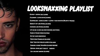 LooksMaxxing Playlist MOGGER [upl. by Davies]