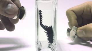 Magnetic Nanofluids Ferrofluids [upl. by Summers]