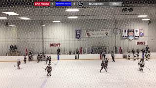 LHA 9U Black  Hyland Hills Jaguars [upl. by Esmaria]