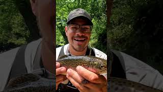 Beautiful Rainbow Trout From The Bank fishing troutfishing trout [upl. by Vasiliu]