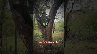 Ulti fulti 🌎duniya🤪 schoolfreshmemes comedy comedyfilms funny schooldays munjya [upl. by Neeruam]