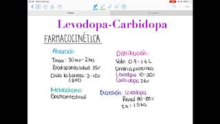 Mecanismo celular de acción hormonal  Fisiología del sistema endócrino  Khan Academy en Español [upl. by Rehpotisrhc]