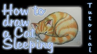 How to draw a Cat Sleeping [upl. by Etterraj583]