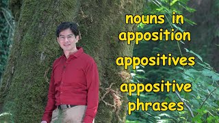 Appositives or Nouns in Apposition  Meaning Use and a Memory Trick  Ask Cozy Grammar [upl. by Leary]