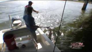 Carolina Fishing TV Swansboro Sheepshead Part I [upl. by Duyne]