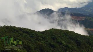 Por qué los bosques son el pulmón del mundo TvAgro por Juan Gonzalo Angel [upl. by Dzoba]