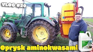 Na Wesoło Pierwsze Opryski z Tatą ☆ Vlog20 Polskie Aminokwasy ☆ Pszenżyto [upl. by Antonella]