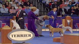 2005 AKCEukanuba National Championship Terrier Group Final [upl. by Nnaeilsel274]