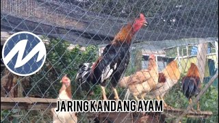 Jaring pagar kandang ayam umbaran harga ekonomis [upl. by Kurth717]