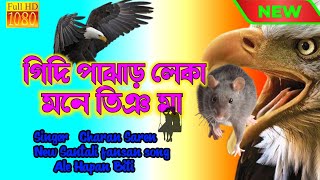 গিদি পাঝাড়লেকা মনে তিঞ মা GIDI PAJHAR LEKA MONE NEW SANTALI FANSAN VIDEO 2024CHARAN SOREN [upl. by Drofwarc]