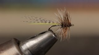 Hornberg Dry Fly [upl. by Ahsea]